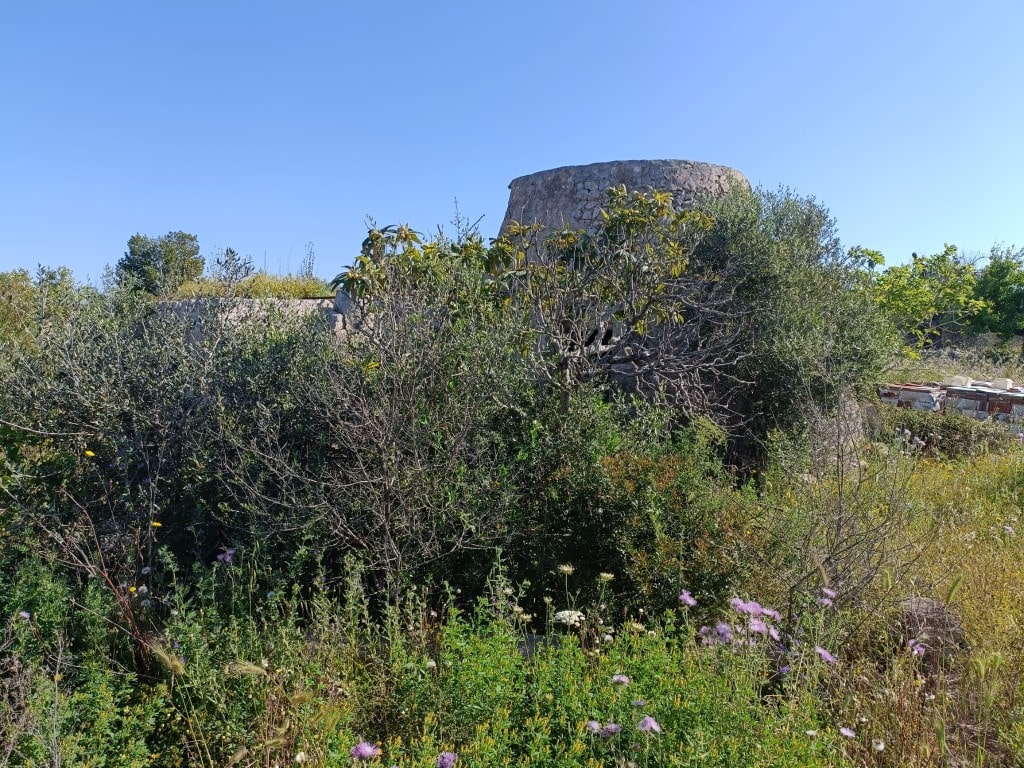 Giano Group Immobiliare